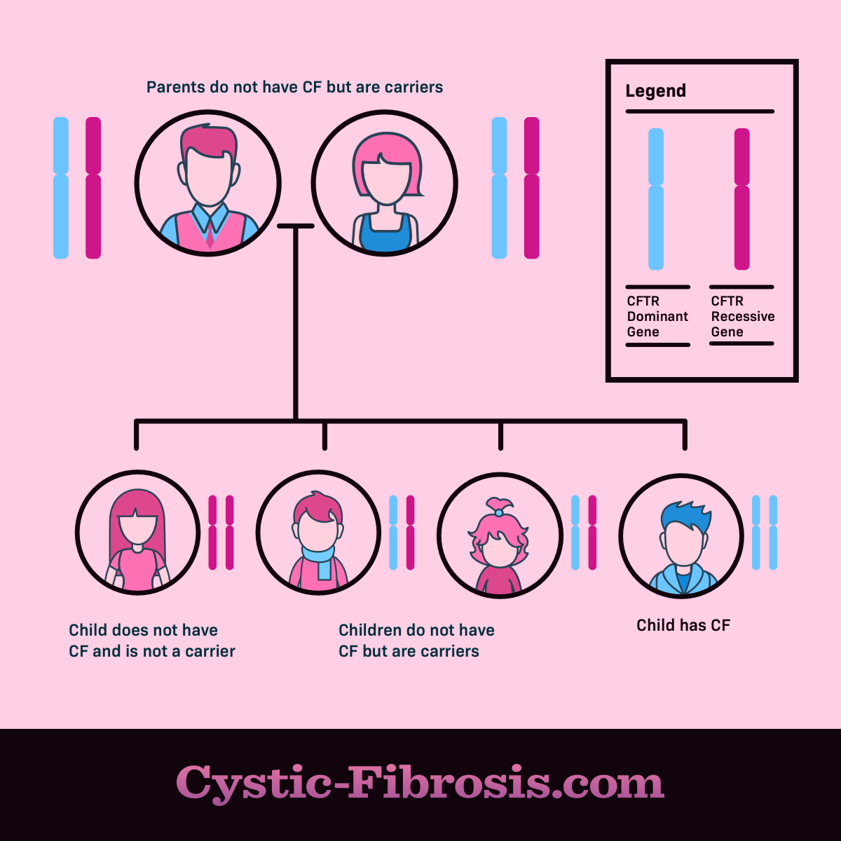 Cystic Fibrosis Inheritance Chart