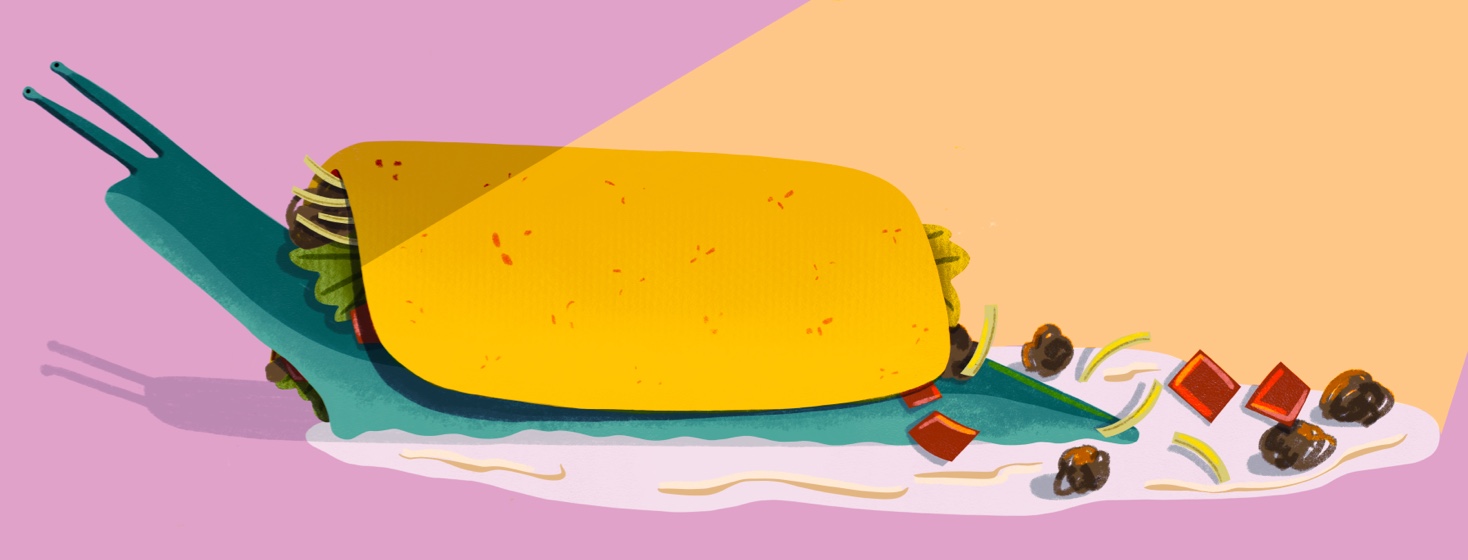 Slimy slug under a taco shell