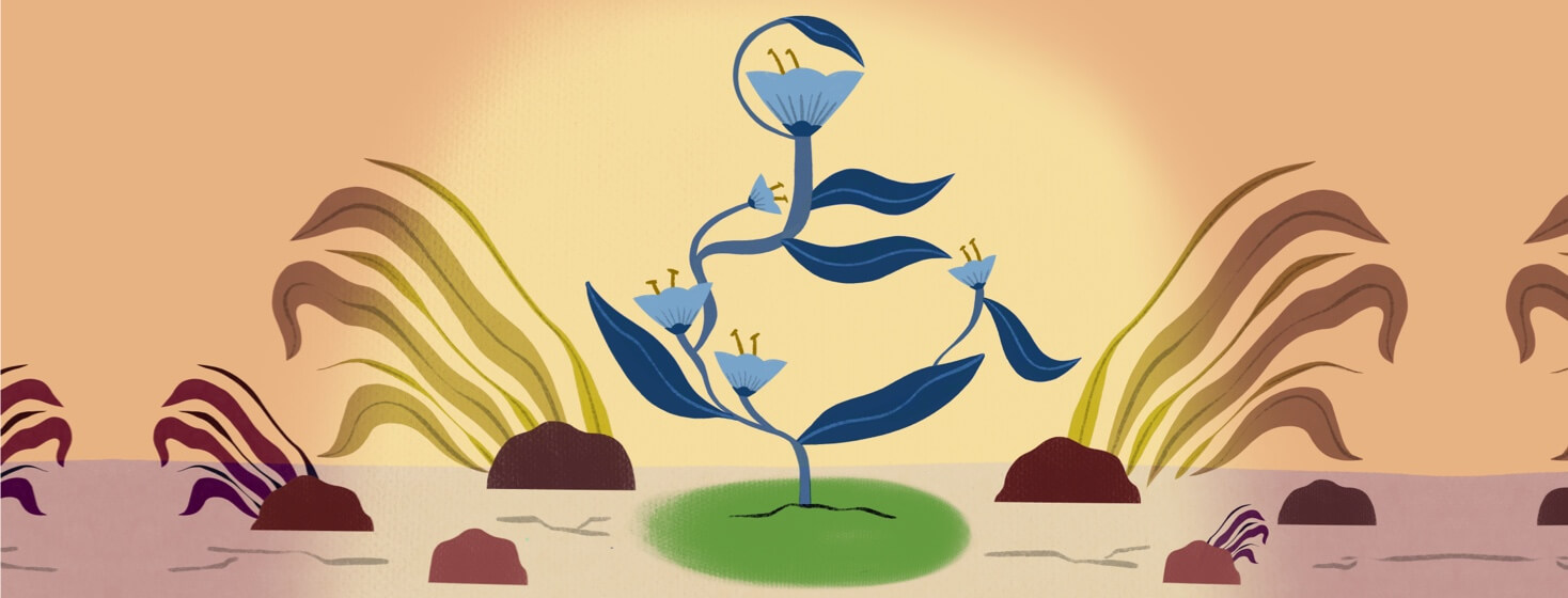 A flower grows from rocky ground. The leaves are shaped to form the handicapped symbol