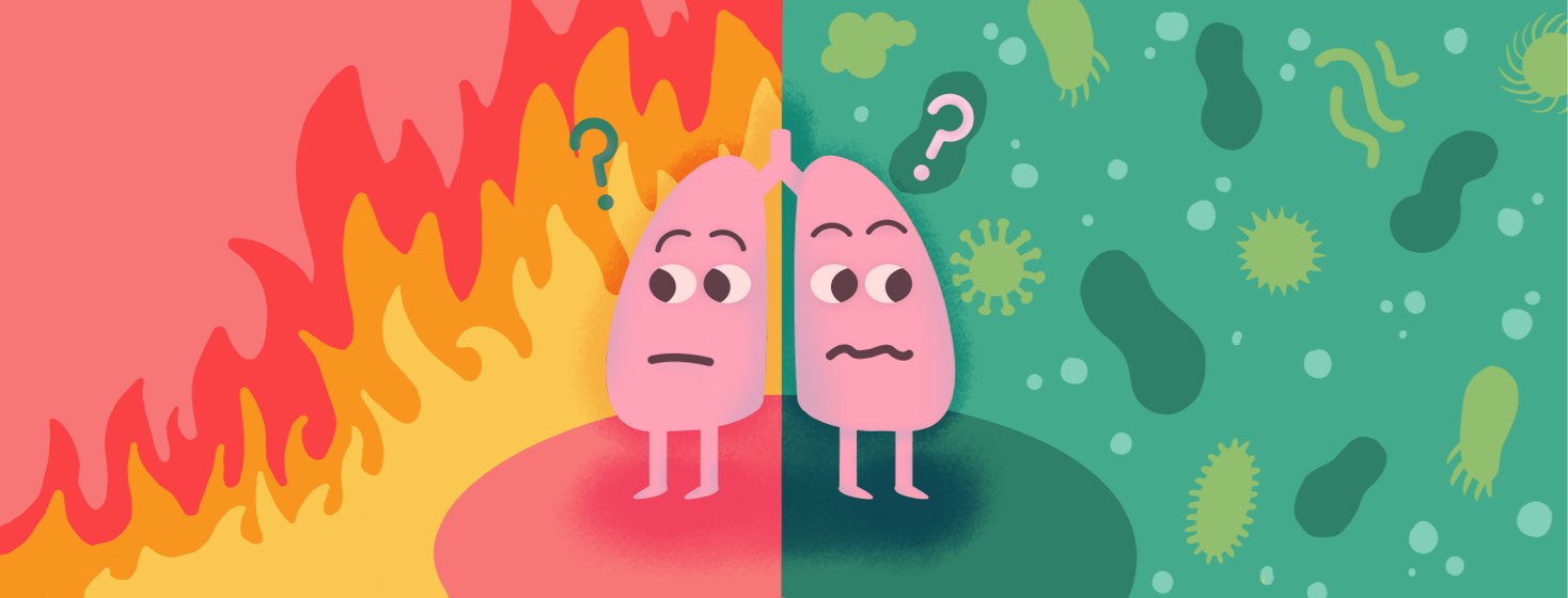 perplexed lungs with question marks against a split background of flames and germs